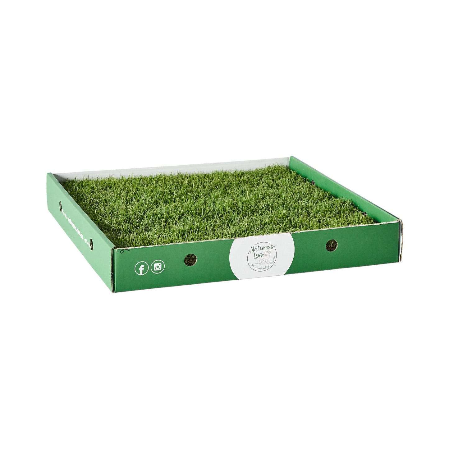 Real Grass Pet Pad