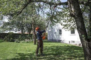 A Man Cutting Tree Branches using a Husqvarna 120iTK4-PH Telescopic Pole Saw